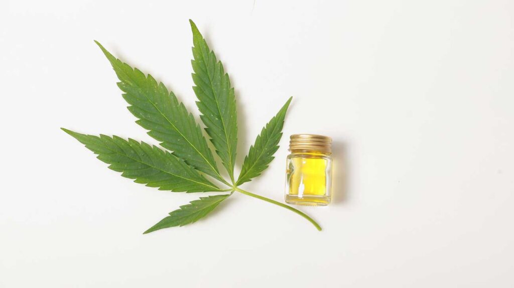 CBD Oil for Dogs Benefits, Dosage & Safety Tips