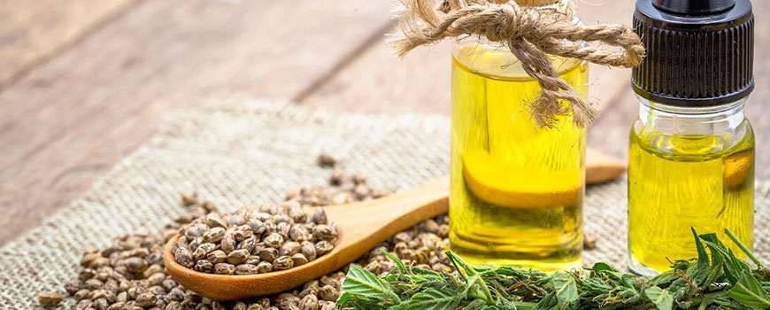 Beginners Use CBD Oil
