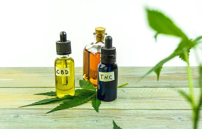 CBD Oil for Pets 