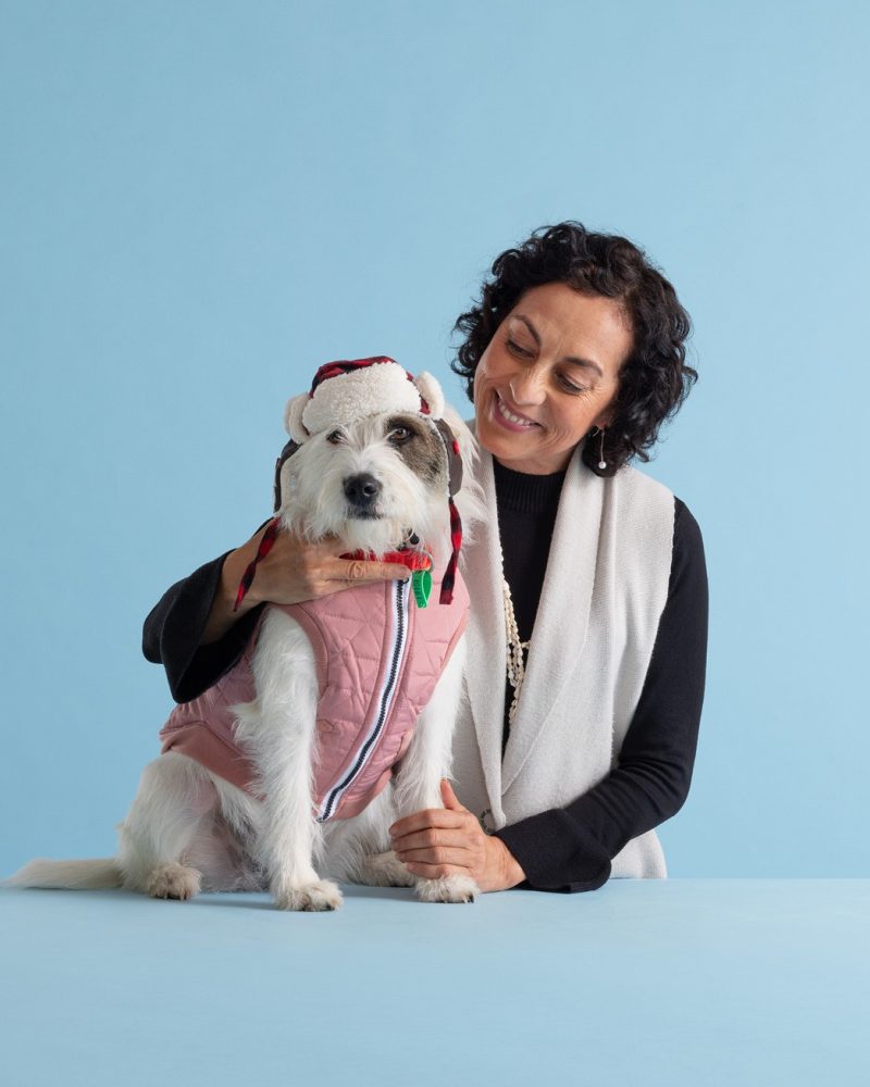 cbd pet health